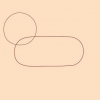 Desenhando um leão