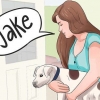 Invente um nome para o seu cachorro ou cachorro