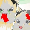 Tratando uma infecção ocular em um gato