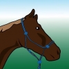 Escovar um cavalo