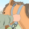 Montando um cavalo