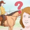 Treinando um cavalo