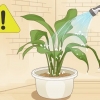 Salvando uma planta que foi regada demais