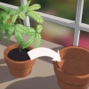 Replante uma planta
