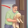 Housetraining um filhote de cachorro em um apartamento