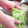 Fazendo uma salada