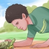Acariciando uma tartaruga