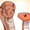 Escolhendo uma cobra como animal de estimação