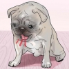 Salvando um cachorro engasgado
