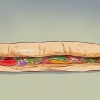 Peça um sanduíche subway
