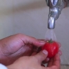 Cortar um tomate