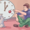 Pegue um segundo gato e não perturbe o gato velho