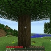 Como criar uma placa no minecraft