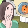 Encontrando um hamster de rua