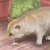 Tratando um gato envenenado