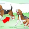 Como tratar um tornozelo torcido em um cão