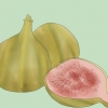 Como cultivar uma figueira em seu jardim