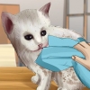 Lave um gatinho órfão