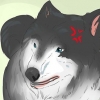 Aproximando-se de um cão vadio