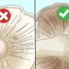 Identificando cogumelos comestíveis