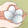 Pasteurização de ovos