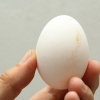 Limpeza de ovos