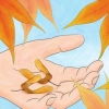 Germinação de sementes de bordo