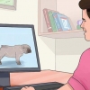 Criação com cães