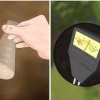 Fertilize árvores frutíferas