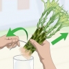 Propagação do bambu da sorte