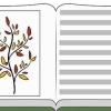 Cultivando plantas saudáveis