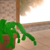 Cuidando bem de um cacto membro