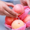 Lave os legumes e as frutas