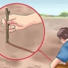 Encontrando o norte sem uma bússola