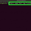Encontrando o caminho para um arquivo no unix