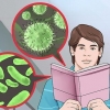 Saiba a diferença entre uma bactéria e um vírus