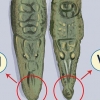 Veja a diferença entre um crocodilo e um jacaré