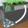 Cultivo de tomates hidropônicos