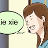 Agradecer a alguém em chinês