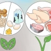 Ganhar peso se você comer vegetariano