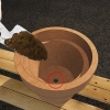 Cultivo de jasmim em vaso
