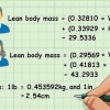 Determinando sua massa seca