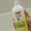 Faça o seu cão cheirar melhor