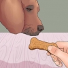 Ensine seu cachorro a dar patas