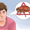Livrar-se de pulgas em seu animal de estimação