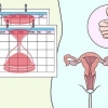 Preparando seu corpo para a gravidez após um aborto espontâneo