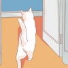 Incentivando seu novo gato a parar de se esconder