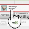 Excluir seu jogo nintendogs