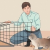 Treinando seu shih tzu