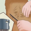 Diagnosticando e tratando os problemas de pele com coceira do seu cão